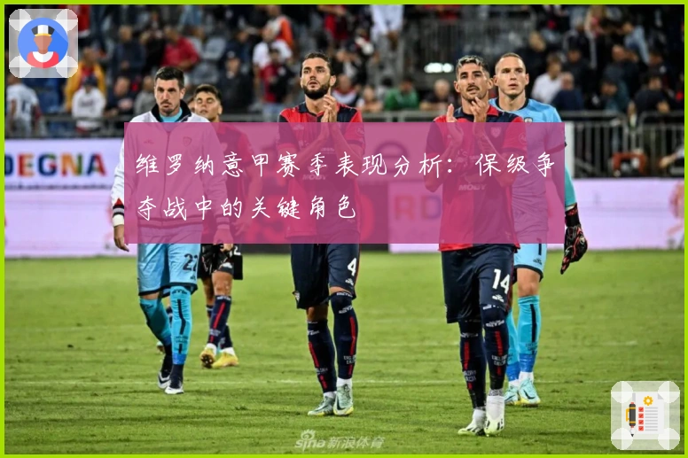 维罗纳意甲赛季表现分析：保级争夺战中的关键角色