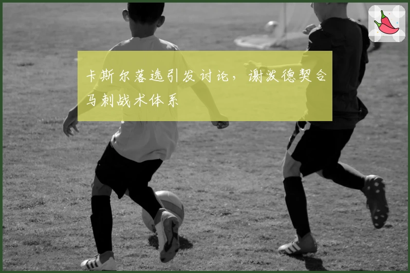 卡斯尔落选引发讨论，谢泼德契合马刺战术体系