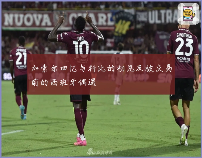 加索尔回忆与科比的初见及被交易前的西班牙偶遇