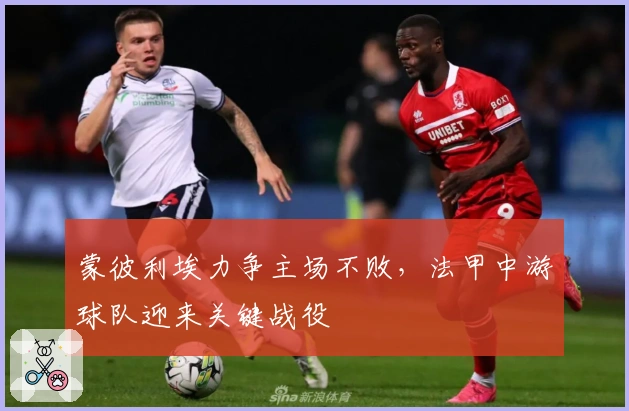 蒙彼利埃力争主场不败，法甲中游球队迎来关键战役