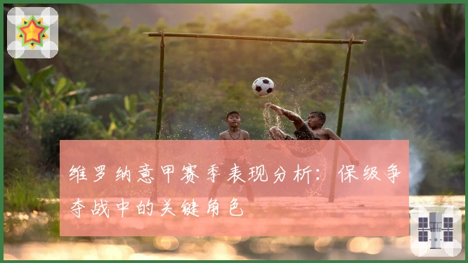 维罗纳意甲赛季表现分析：保级争夺战中的关键角色